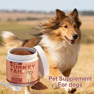 100g Dog Immune Support Supplement – Daily Immunity Defense, Promotes Healthy Immune System Function for Breeds, Easy-Mix Powder