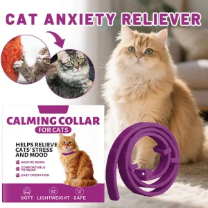 Cat Anxiety Relief Supplement Calming Support For Multi Pet Household Furniture Protection