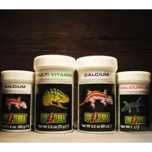 HAGEN Reptile Calcium Powder With & Without D3 Vitamin Supplement for Tortoise Lizard Leopard Gecko Bearded Dragon